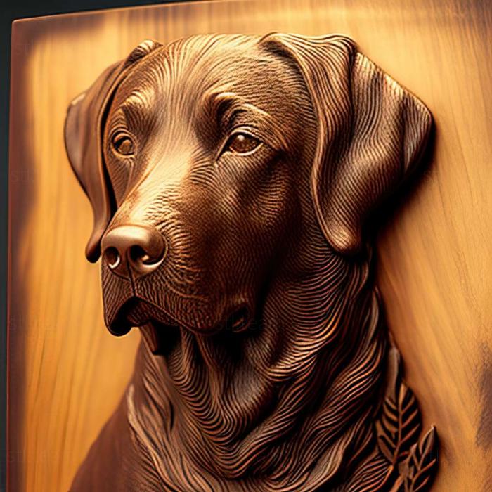 3D model Chesapeake Bay Retriever dog (STL)
